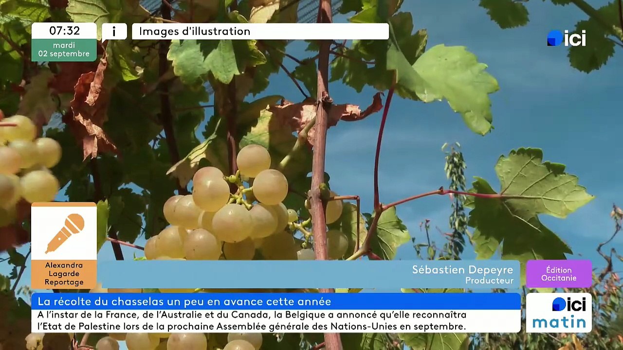 02/09/2025 - ici matin par ici Occitanie en vidéo