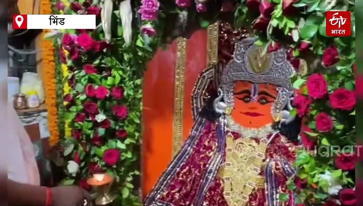 भिंड के दंदरौआ धाम में बजरंग बली डॉक्टर बन करते हैं इलाज!, बुढ़वा मंगल पर पहुंचते हैं लाखों भक्त