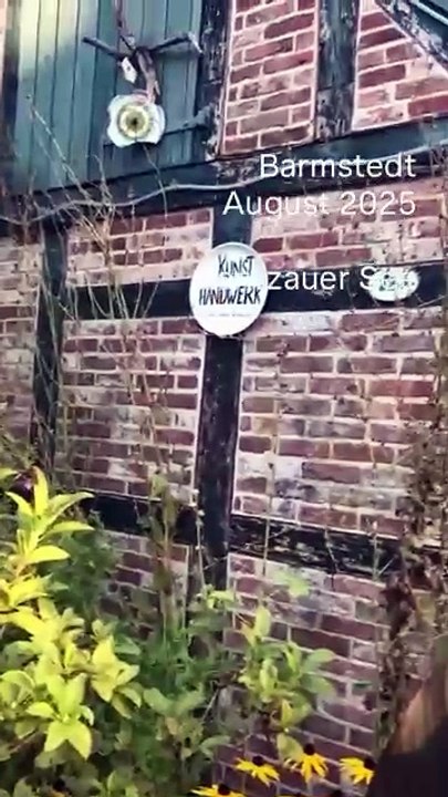 Barmstedt August 2025 - Rantzauer See