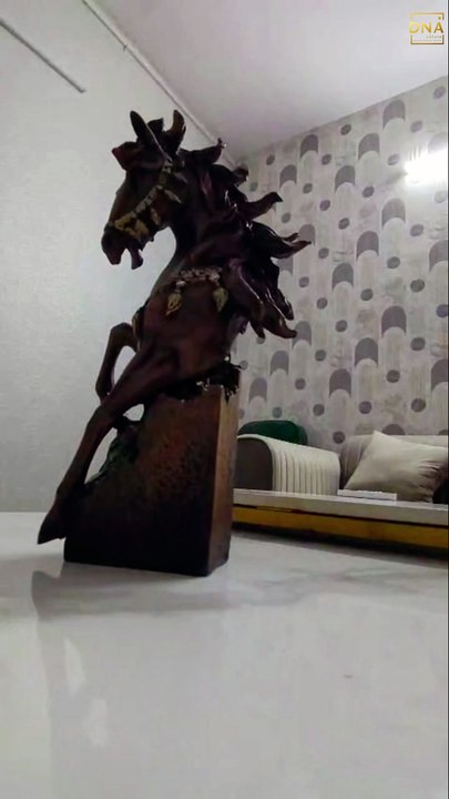 White & Gold Horse Head Statue Premium Home Decor Showpiece Set DNA eStore