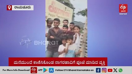 ರಾಯಚೂರು: ಮನೆ ಮುಂದೆ ಕಾಣಿಸಿಕೊಂಡ ಹಾವಿಗೆ ಪೂಜೆ ಮಾಡಿದ ಯುವಕ - Video