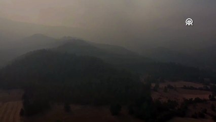 Kastamonu-Karabük sınırında orman yangınları: 5 yabancı gözaltına alındı