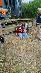 Samandağ'da TOMA'larla ağaç kesimi: Köylüler araçların önüne yattı