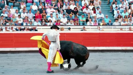 Grana y Oro: Destacados Reportajes del 29/08/2025 📰