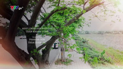 Dịu dàng màu nắng Tập 12 VTVgo