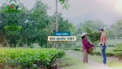 Dịu dàng màu nắng Tập 11 VTVgo