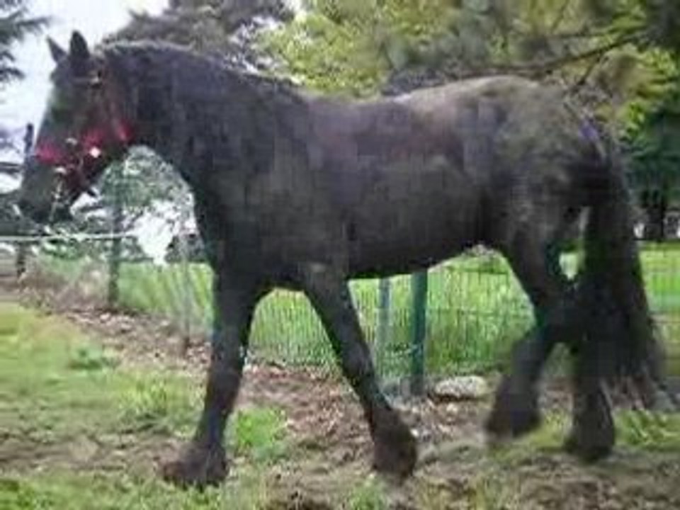 Lokman