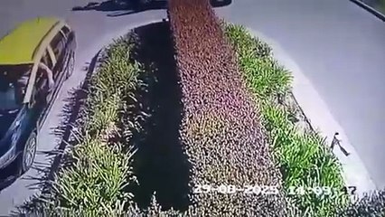 Lo que iba a ser un fin de semana romántico terminó en un insólito robo en Berazategui