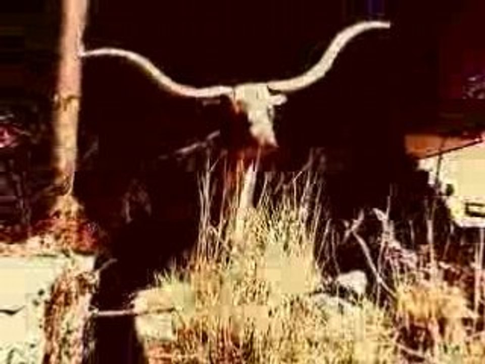 Helios Creed Cowboy