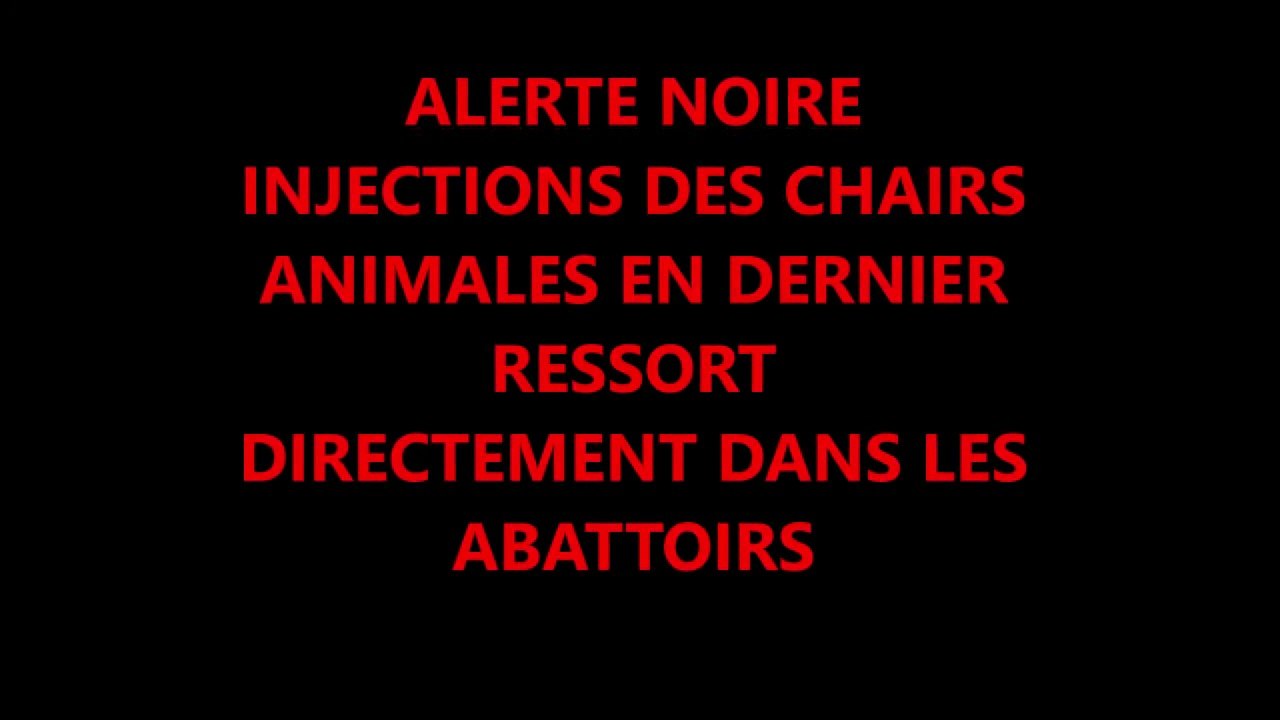 Alerte Noire animaux d'abattoirs