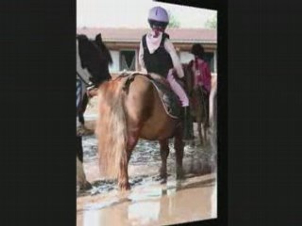 Poney 18 mai
