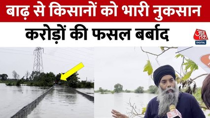 जालंधर के कुकड़ गांव में भारी जलभराव, फसलों को हुआ नुकसान