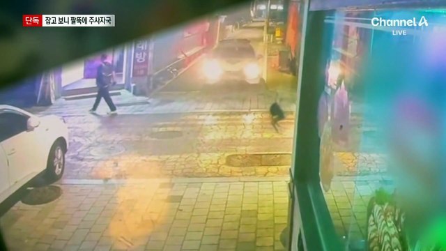 [단독]남의 차 문 열다 검거…팔뚝엔 주사 자국