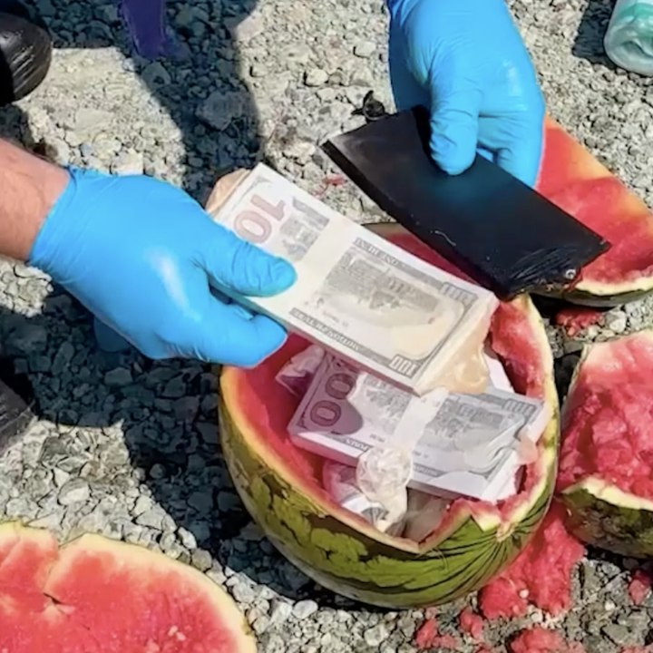 Ils ont failli le laisser partir... Puis est venue la recherche surprise