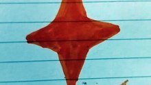 Stella arancione disegno