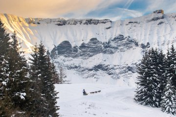 Teaser La Grande Odyssée Royal Canin