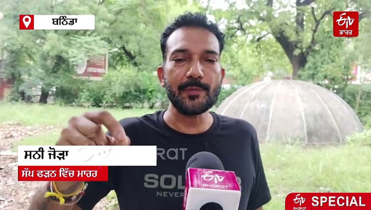 ਪੰਜਾਬ ਦੇ ਇਨ੍ਹਾਂ ਇਲਾਕਿਆਂ 'ਚ ਪਾਏ ਜਾਂਦੇ ਹਨ ਜ਼ਹਿਰੀਲ...