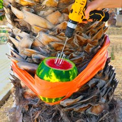 A delicious watermelon ice latte to cool you off in the summer 🍉