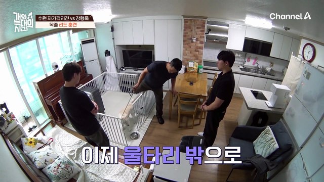 나한테 집중해! 목줄 리드 훈련을 보여주는 강형욱! 얌전하게 따라오는 늑대 1호?