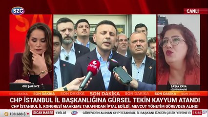 Başak Kaya CHP İstanbul Kongresi'nin iptalini yorumladı