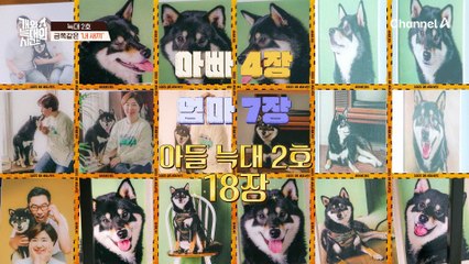 강형욱도 처음 본 시바견의 행동?! 변을 싸고 먹고 토까지 하는 늑대 2호