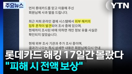 롯데카드 해킹 17일간 몰랐다...금감원 "피해 시 전액 보상" / YTN