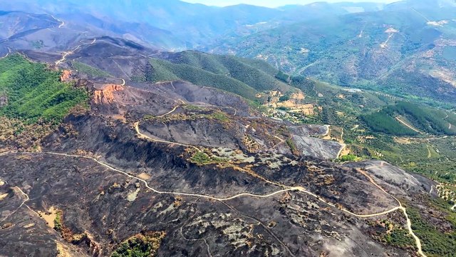 La devastación de los incendios de Castilla y León desde el aire