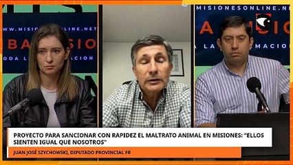 Proyecto para sancionar con rapidez el maltrato animal en misiones a través de la justicia