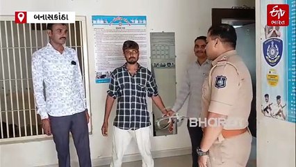 બનાસકાંઠામાં ઘરેલુ હિંસાનો કરુણ અંજામ: પતિએ પત્નીની હત્યા કરી, ચાર બાળકો નોંધારા