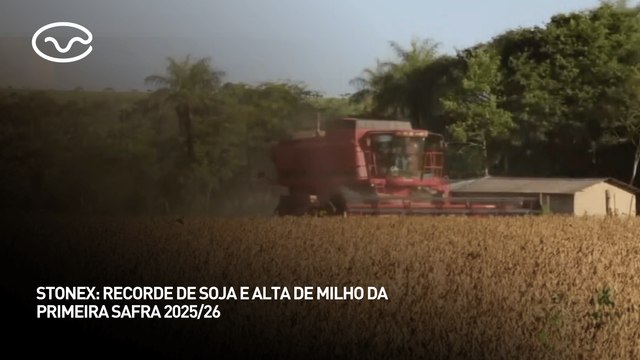Stonex: recorde de soja e alta de milho da primeira safra 2025/26