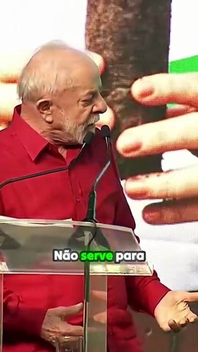 Nem avestruz come macaúba_ mas vira biodiesel que ajuda pequenos produtores