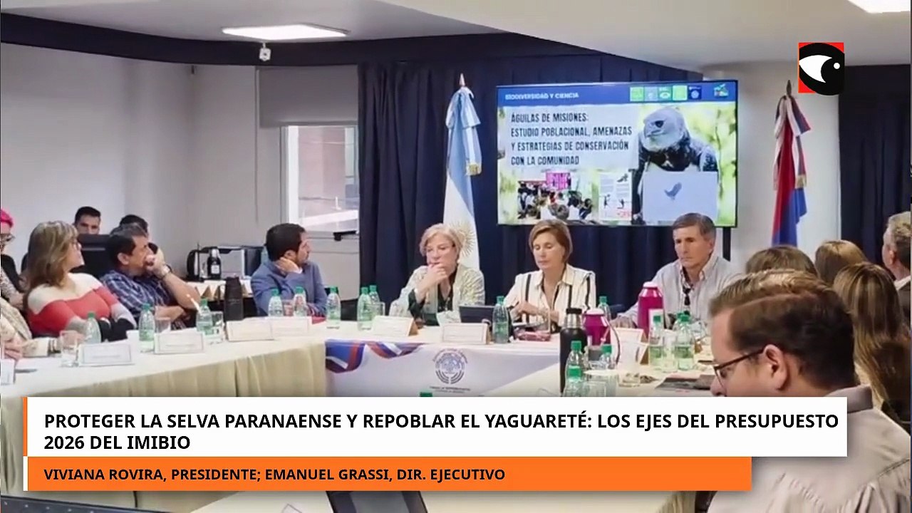 Proteger la Selva Paranaense y repoblar el yaguareté los objetivos del presupuesto 2026 del IMIBIo
