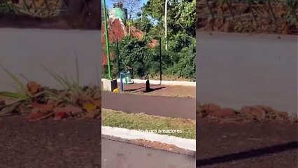 Macaquinho 'pinguço'? Vídeo flagra animal com garrafa de vinho