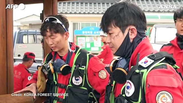 Incendi boschivi in Corea del Sud, le vittime salgono a quota 24