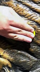 Fenerbahçe'nin Ederson videosunda Galatasaray'a gönderme