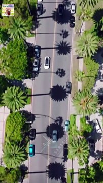 The Vampire Count's Modern Lover Engsub Full Movie #shortfilms