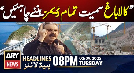 CM KP Ali Amin's Big Statement || ARY News 8 PM Headlines || 2nd Sept 2025