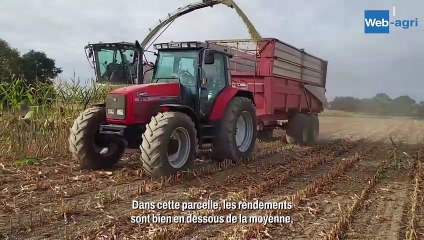 Au Gaec Heurtin : des rendements décevants pour les ensilages de maïs 2025