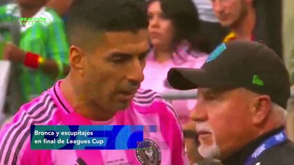 Reacción en cadena - lunes 01 de septiembre 2025