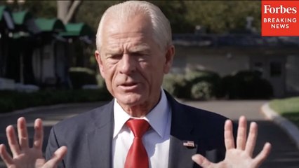 Navarro: Americans Should Be Feeling 'Gratitude' For Trump Because He Ended De Minimis Loophole