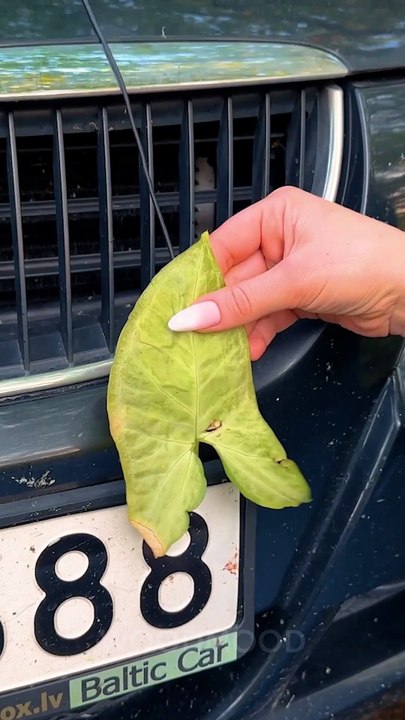 Simple but useful car plate hack 👮