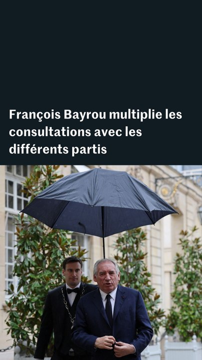 Vote de confiance : François Bayrou multiplie les consultations avec les différents partis