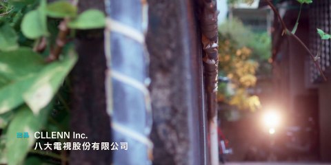 Khám Phá Mối Quan Hệ Bí Mật | Tập 8 | VietSub 🔍