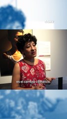 World Press Photo 2025 llega a la CDMX con las imágenes más impactantes del fotoperiodismo mundial.