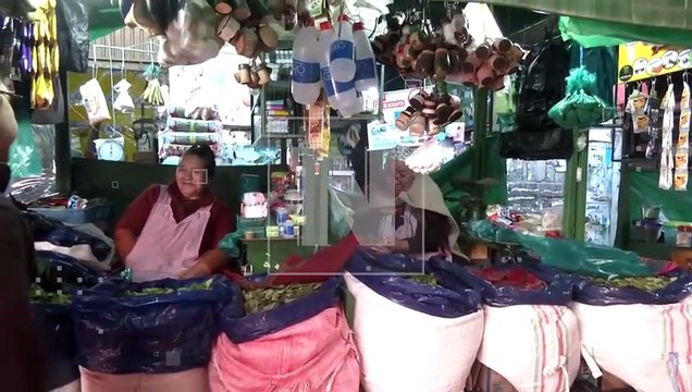 ¡La hoja de coca se dispara! Precios se duplican y golpean el bolsillo de los bolivianos