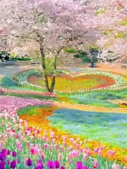 Beautiful Flowers Garden 💐💐