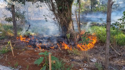 Bombeiros combatem incêndio ambiental no Bairro Cascavel Velho