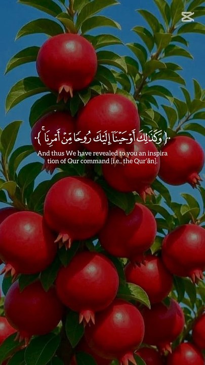 Beautiful Quran Recitation | Soothing Voice & Spiritual Peace | Must Listen Now  #QuranRecitation #IslamicSpirituality #PeacefulQuran #HolyQuran #QuranTilawat