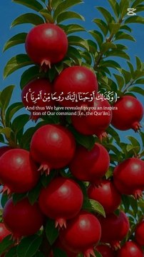 Beautiful Quran Recitation | Soothing Voice & Spiritual Peace | Must Listen Now #QuranRecitation #IslamicSpirituality #PeacefulQuran #HolyQuran #QuranTilawat