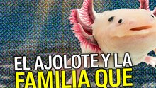 El ajolote y la familia que olvidamos